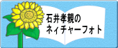 �Έ�F�e�̃l�B�`���[�t�H�g